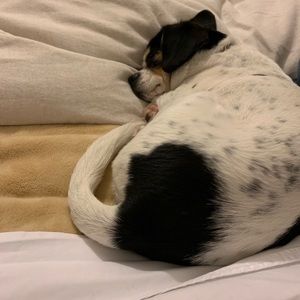 Meet your Posher, Patty